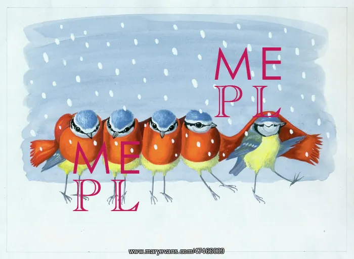 : Five Blue Tits with a red scarf in the snow : Five Blue Tits with a red scarf in the snow