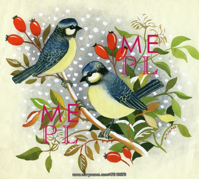 : Two Blue Tits on a rose bough : Two Blue Tits on a rose bough