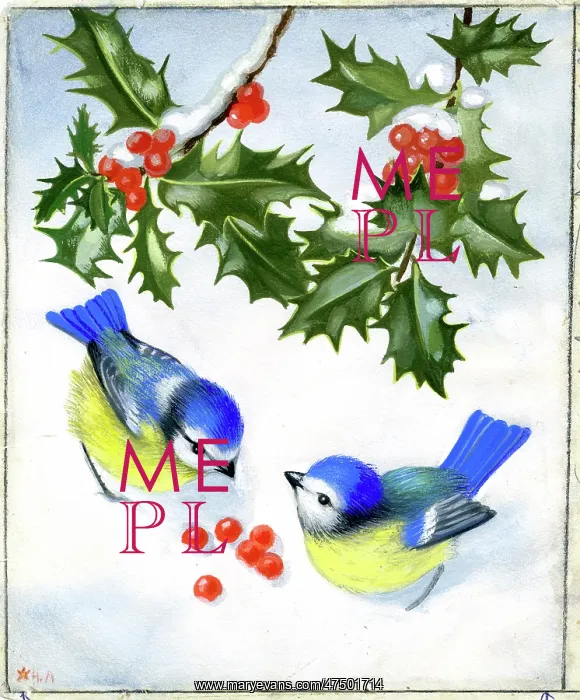 : Two blue tits in the snow with holly : Two blue tits in the snow with holly