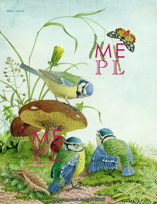  : Three blue tits with toadstools and moth