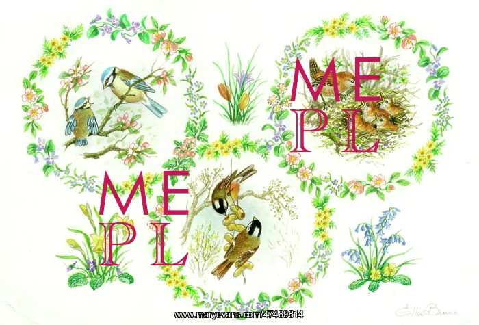  : Blue tits, wrens, coal tits and spring flowers