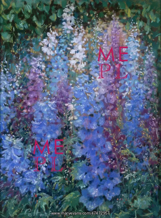  : Blue, White and Purple Delphiniums
