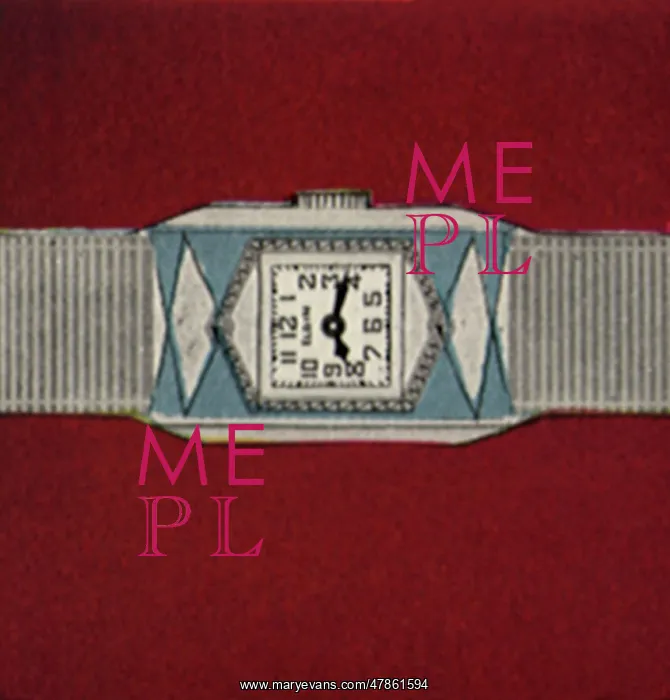  : Blue and White Watch