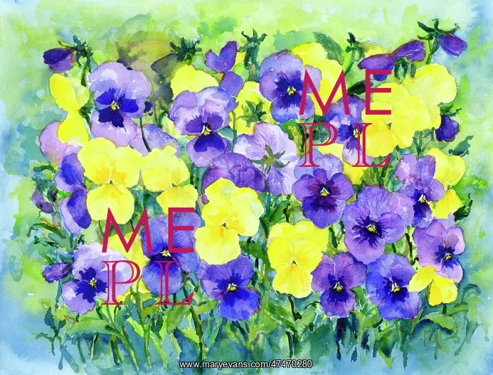  : Blue and Yellow Pansies