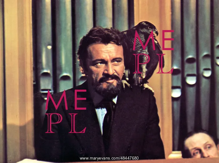 : BLUEBEARD RICHARD BURTON : BLUEBEARD RICHARD BURTON
