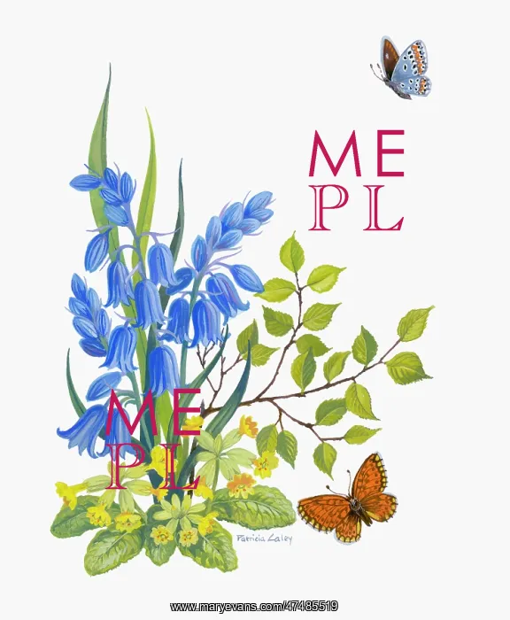  : Bluebells and Cowslips