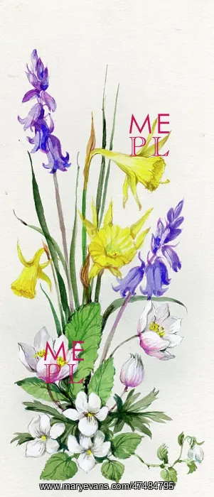  : Bluebells, daffodils, etc