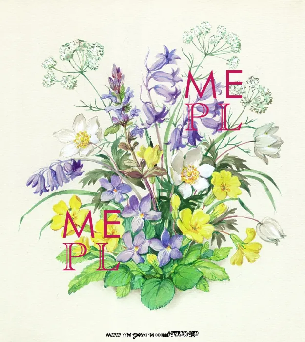 : Bluebells, primroses, windflowers : Bluebells, primroses, windflowers
