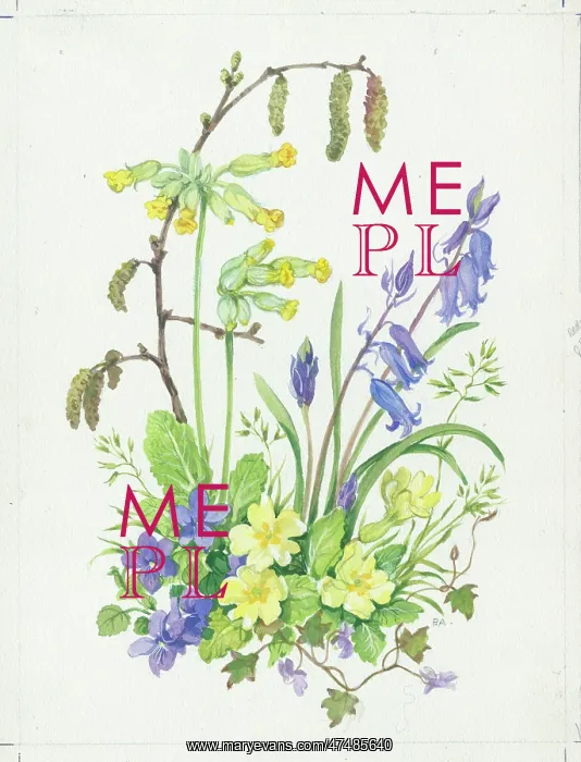  : Bluebells, violets, primroses, cowslips and catkins