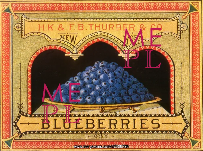  : Blueberry Label