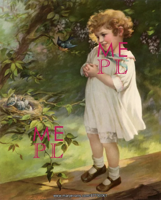  : Bluebird and Girl