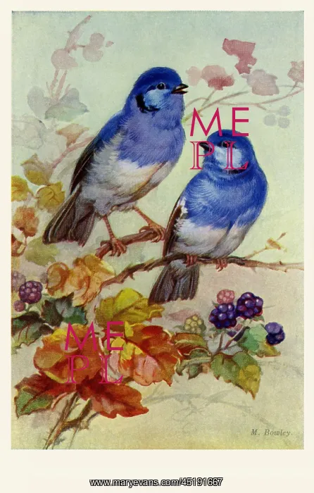  : Bluebirds & blossoms