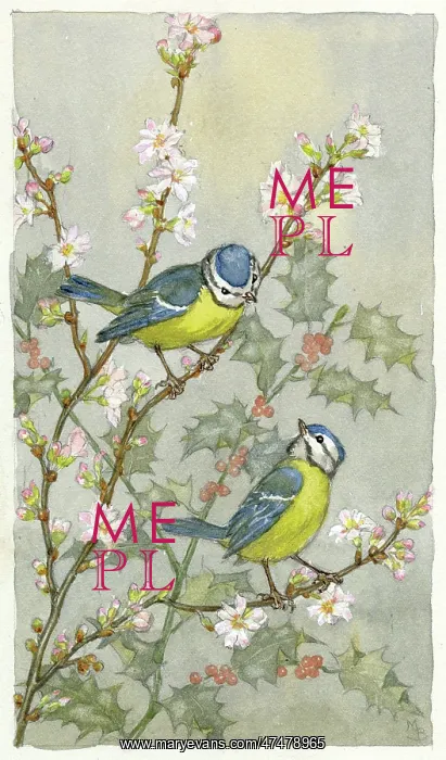 : Bluetits on twigs of blossom with holly : Bluetits on twigs of blossom with holly