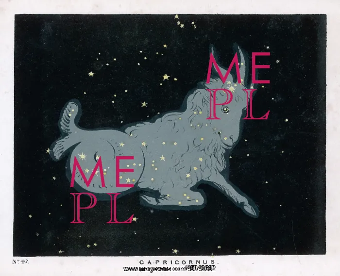 : BLUNT / CAPRICORN / 47 / 1849 : BLUNT / CAPRICORN / 47 / 1849