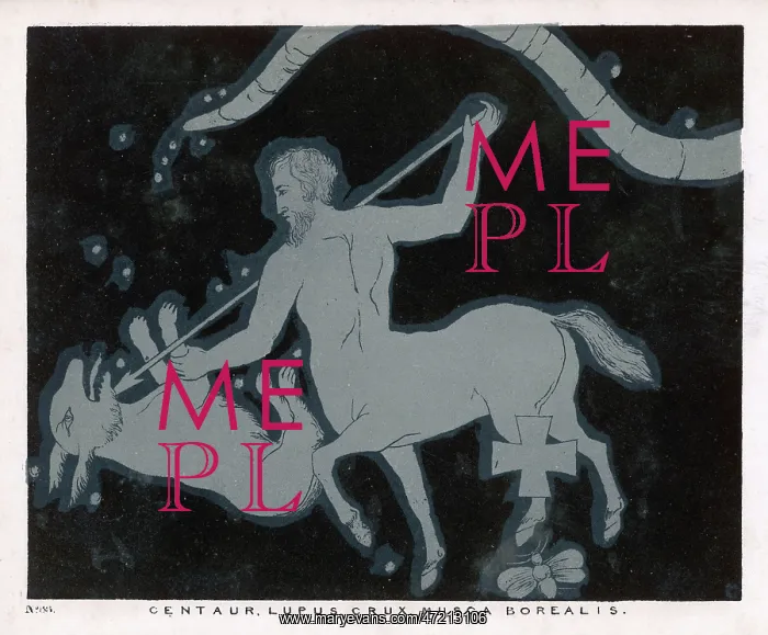 : BLUNT / CONSTELLATIONS / 88 : BLUNT / CONSTELLATIONS / 88