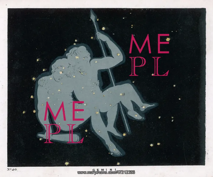 : BLUNT / GEMINI / PLATE 40 : BLUNT / GEMINI / PLATE 40