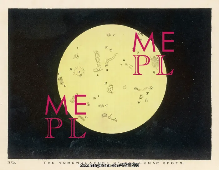 : BLUNT / LUNAR SPOTS / PL 14 : BLUNT / LUNAR SPOTS / PL 14