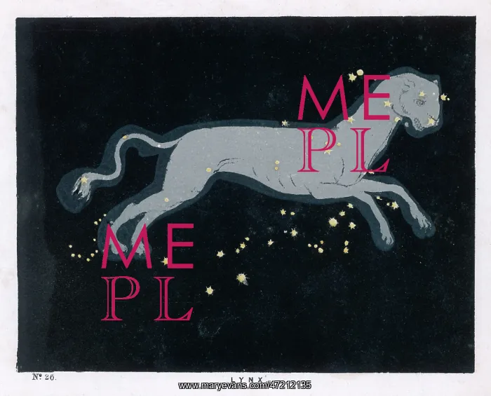 : BLUNT / LYNX / PLATE 26 : BLUNT / LYNX / PLATE 26