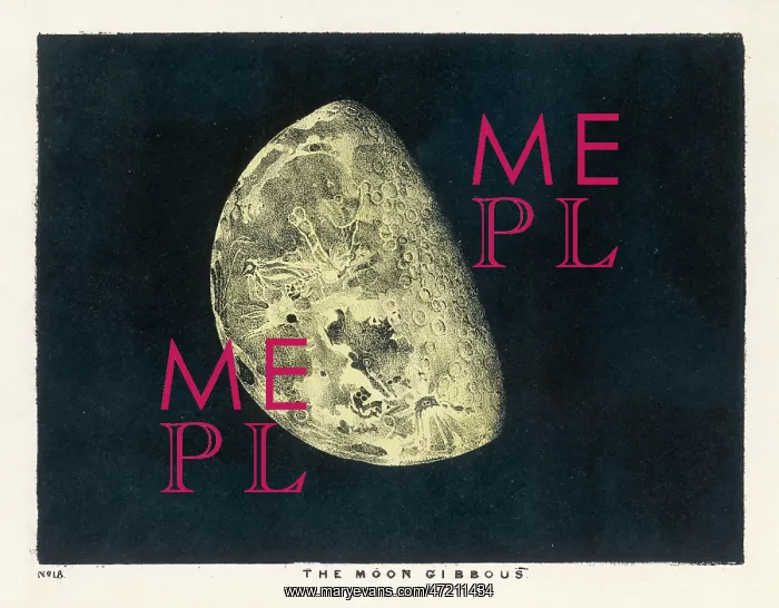 : BLUNT / MOON GIBBOUS 1849 : BLUNT / MOON GIBBOUS 1849