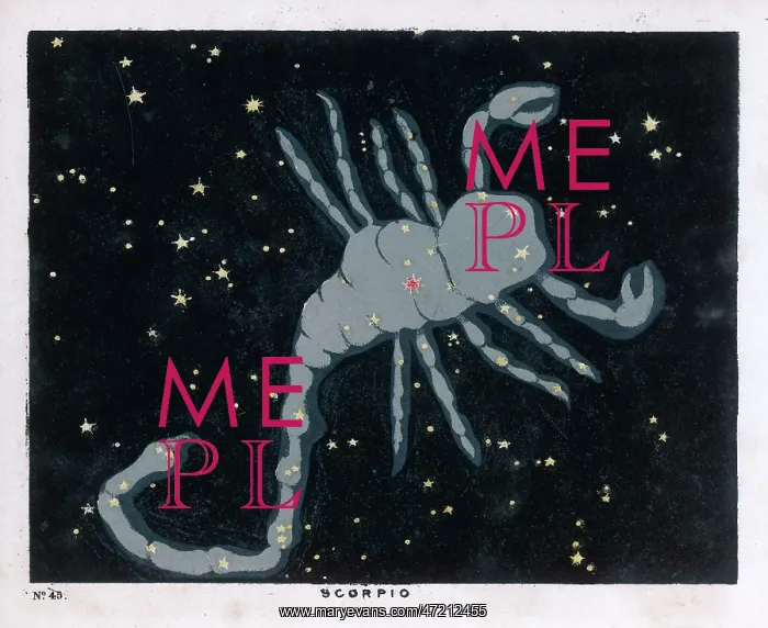 : BLUNT / SCORPIO / 45 / 1849 : BLUNT / SCORPIO / 45 / 1849