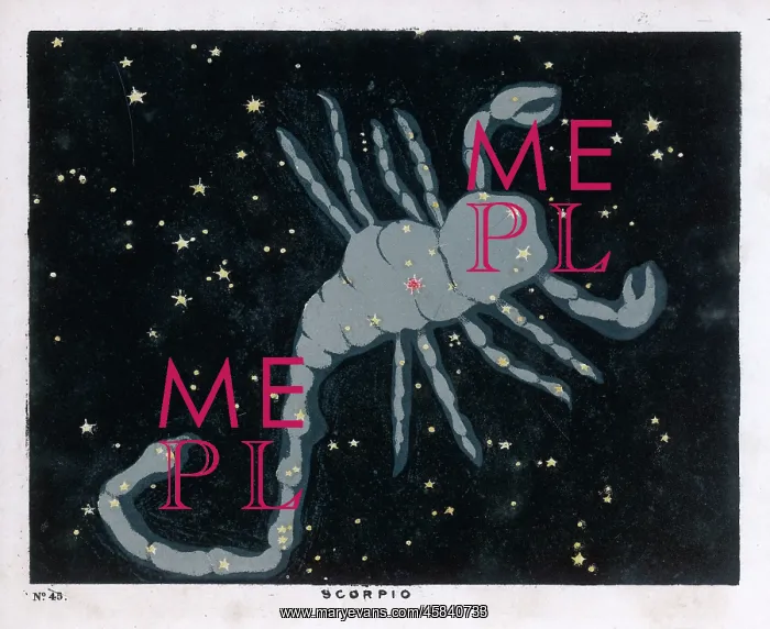 : BLUNT / SCORPIO / PLATE 45 : BLUNT / SCORPIO / PLATE 45