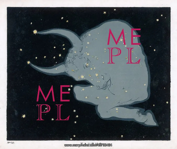 : BLUNT / TAURUS / PLATE 39 : BLUNT / TAURUS / PLATE 39