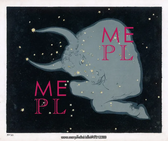 : BLUNT / TAURUS / PLATE 39 : BLUNT / TAURUS / PLATE 39