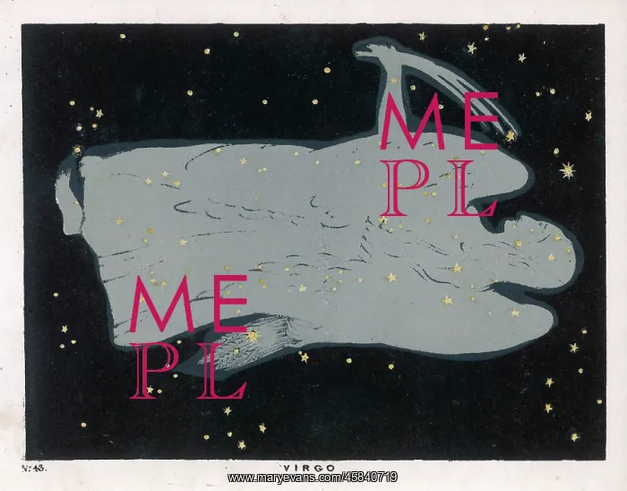 : BLUNT / VIRGO / PLATE 43 : BLUNT / VIRGO / PLATE 43