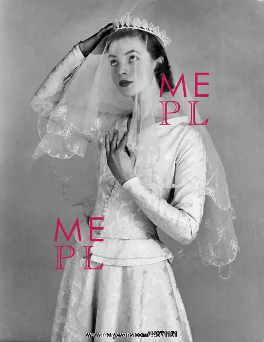 : The Blushing Bride : The Blushing Bride