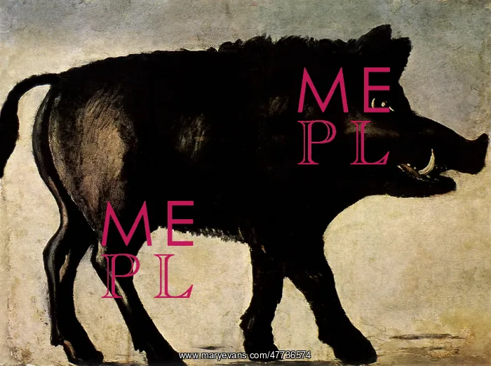  : Boar