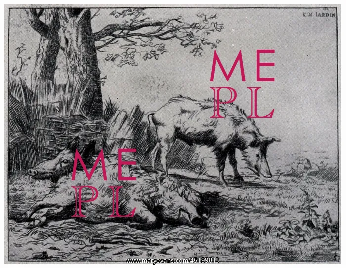 : Two Boars. An etching of two rugged boars, one standing : Two Boars. An etching of two rugged boars, one standing