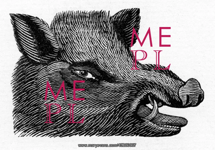  : Boar's head