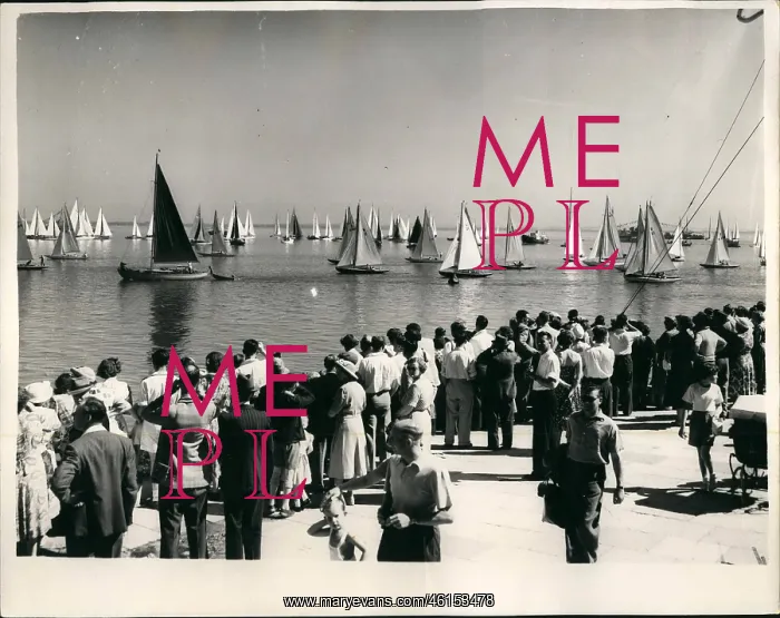 : Boat Racing : Boat Racing