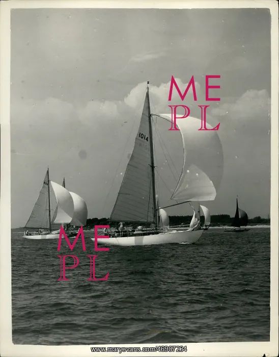: Boat Racing : Boat Racing