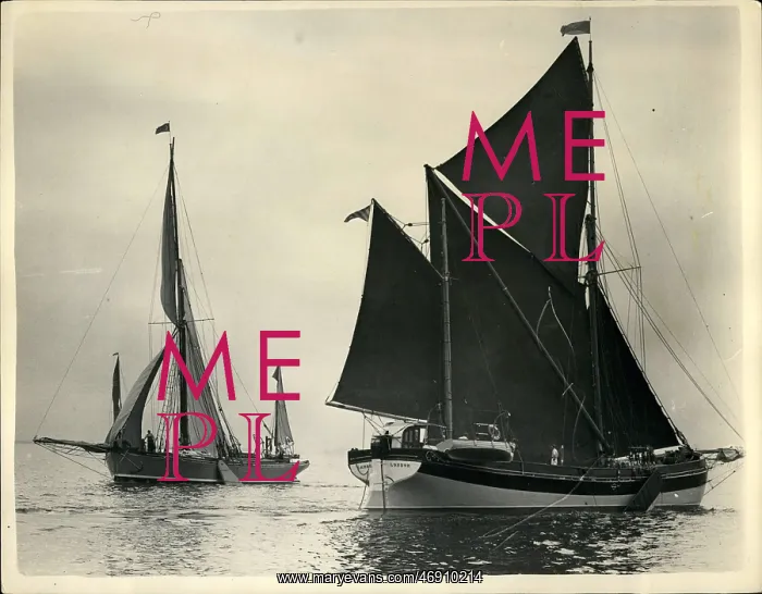 : Boat Racing : Boat Racing