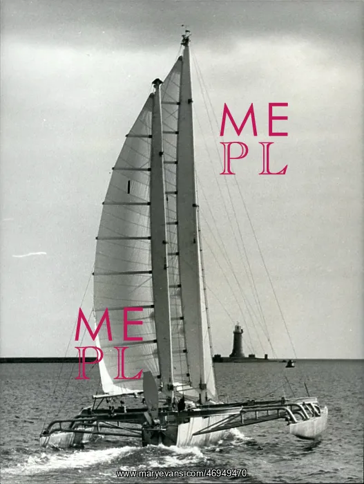 : Boat Racing : Boat Racing