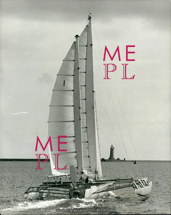 : Boat Racing : Boat Racing