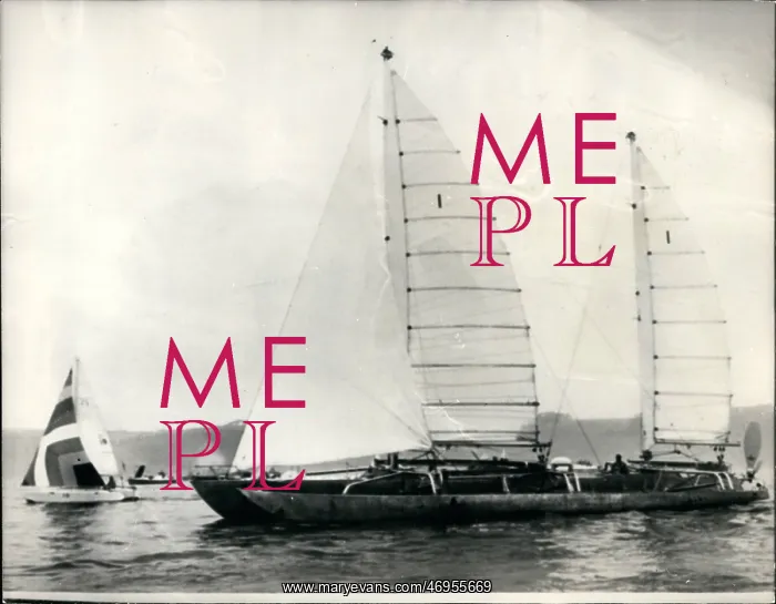 : Boat Racing : Boat Racing