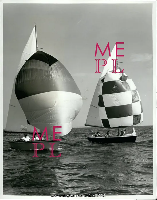 : Boat Racing : Boat Racing