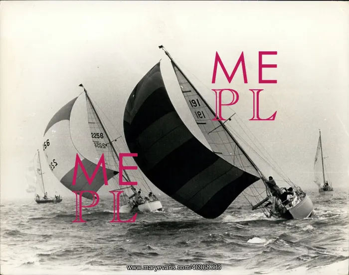 : Boat Racing : Boat Racing