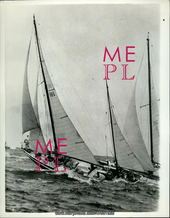 : Boat Racing : Boat Racing