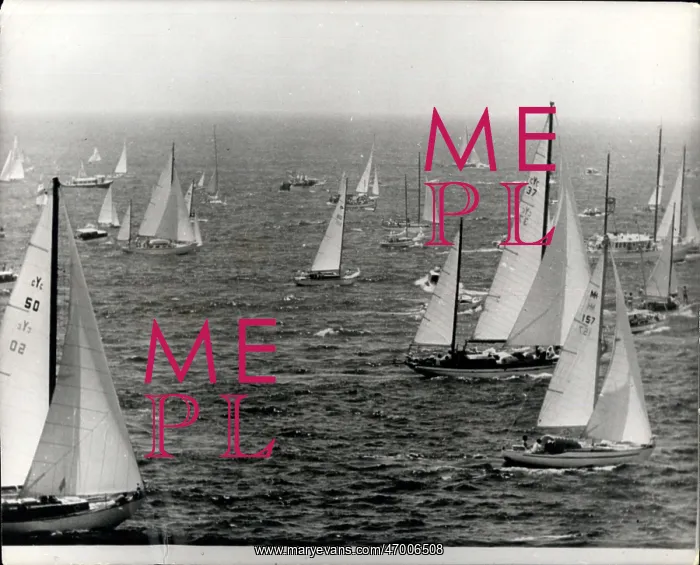 : Boat Racing : Boat Racing