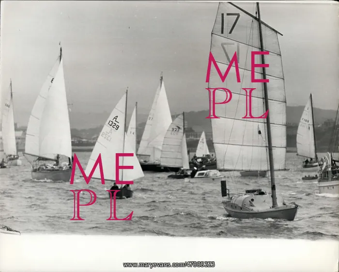 : Boat Racing : Boat Racing