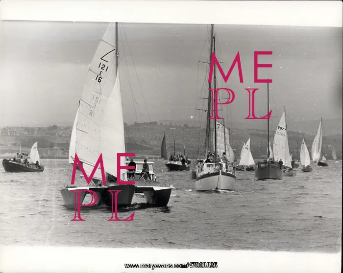 : Boat Racing : Boat Racing