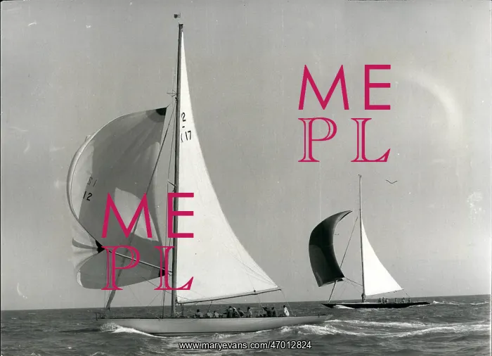 : Boat Racing : Boat Racing