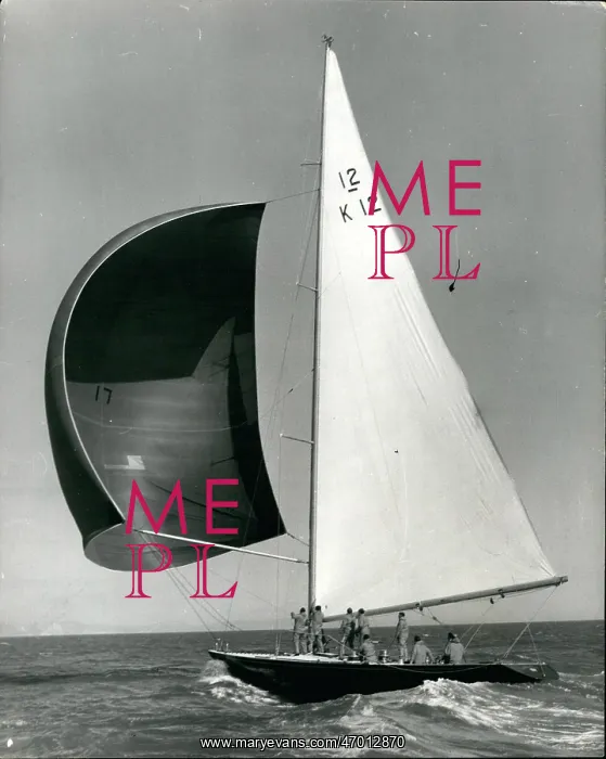 : Boat Racing : Boat Racing