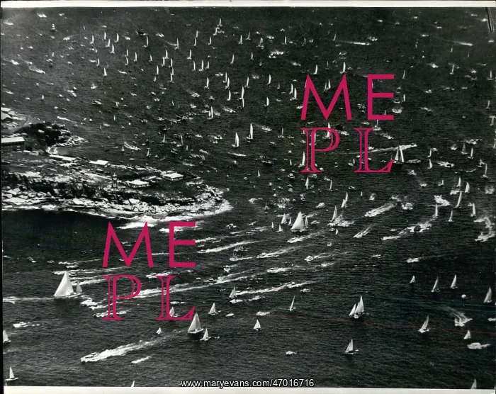 : Boat Racing : Boat Racing