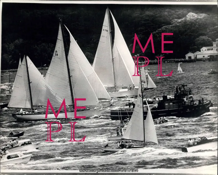 : Boat Racing : Boat Racing