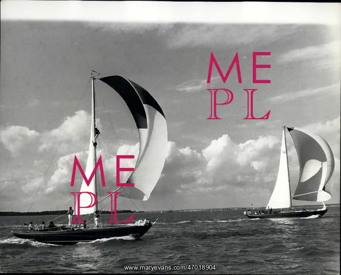 : Boat Racing : Boat Racing