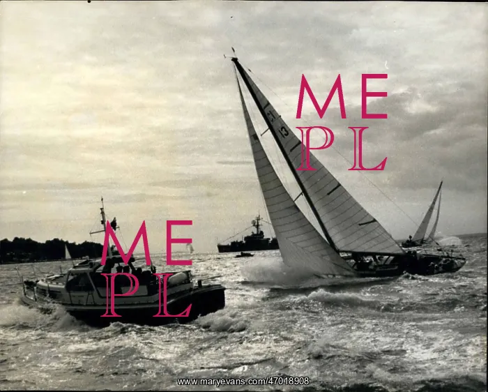 : Boat Racing : Boat Racing